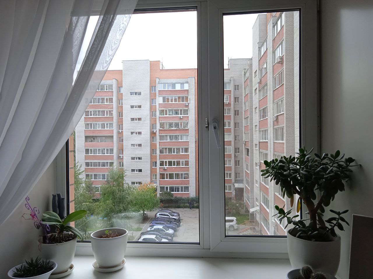 https://arhangelsk.delaem-okna.ru/storage/app/uploads/public/63f/331/482/63f331482975f325093091.jpg