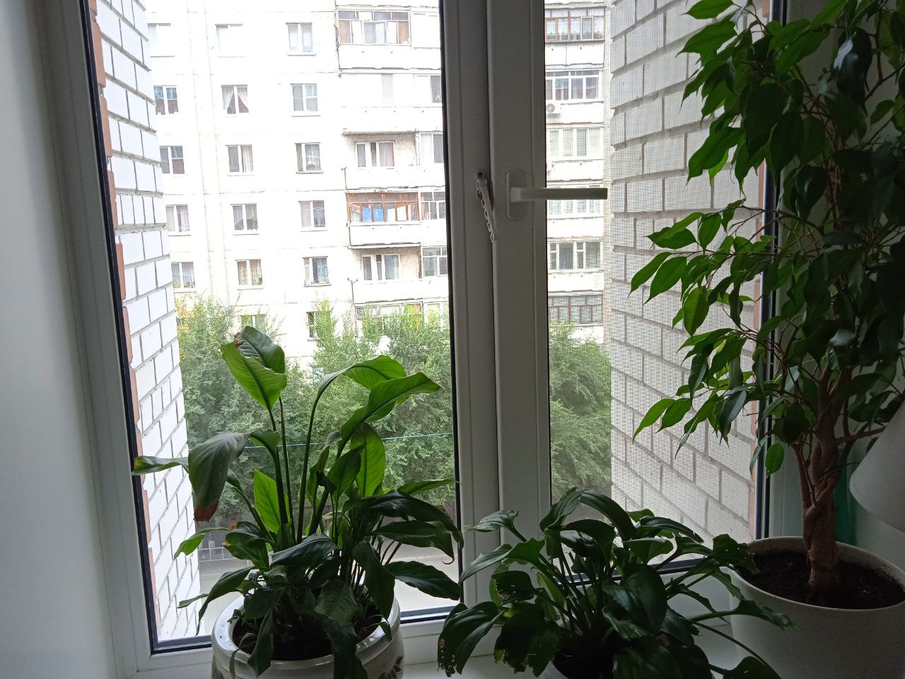 https://arhangelsk.delaem-okna.ru/storage/app/uploads/public/63f/332/8c0/63f3328c0d6f7867060515.jpg